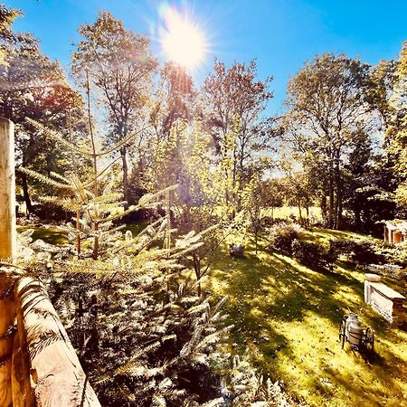 La Cabane Perchee Du Trappeur Ecrainville Bagian luar foto