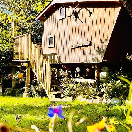 La Cabane Perchee Du Trappeur Ecrainville Bagian luar foto