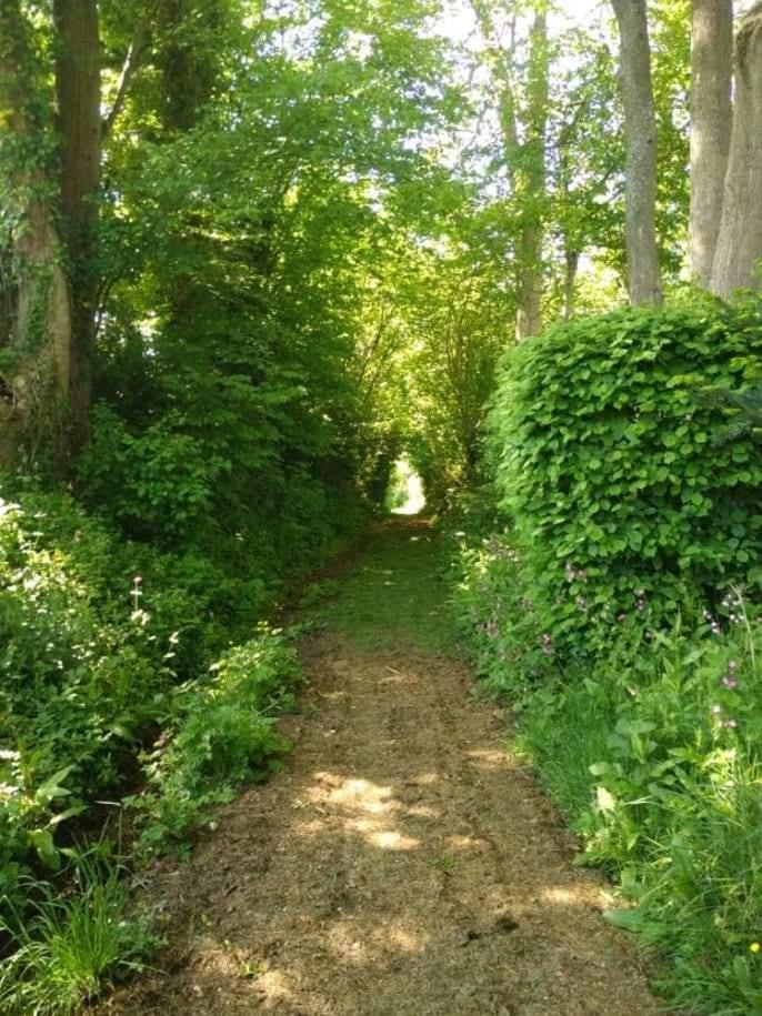 La Cabane Perchee Du Trappeur Ecrainville Bagian luar foto